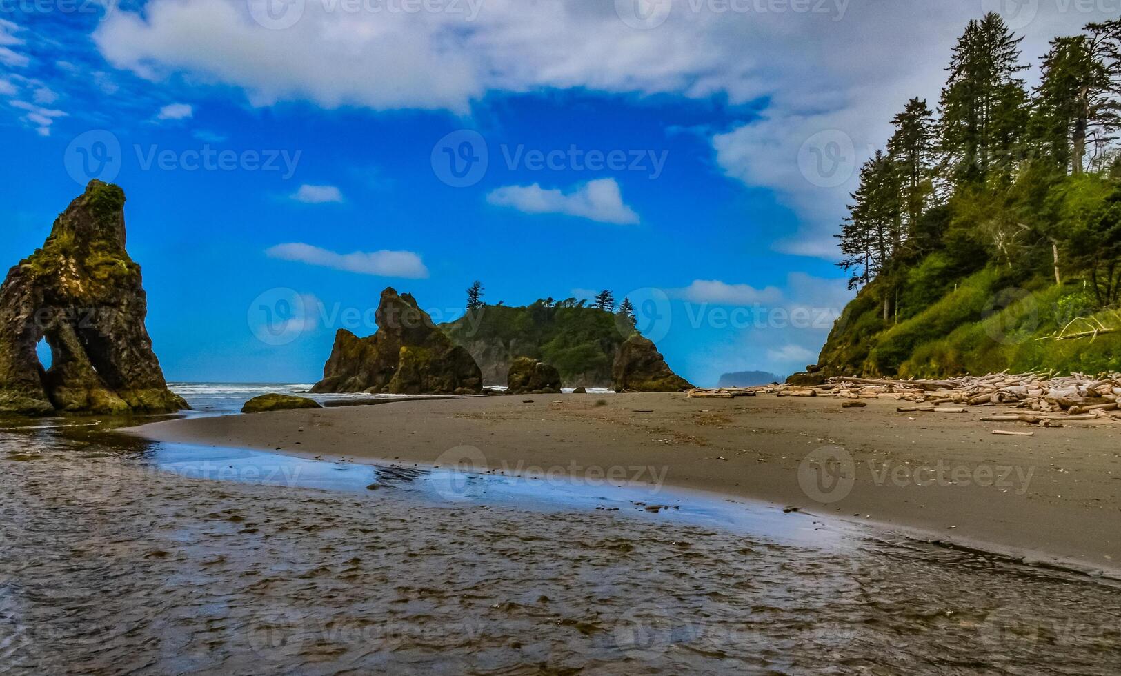 Marine landscape. Small islands and rocks on the shores of the Pacific Ocean in Olympic National Park, Washington photo