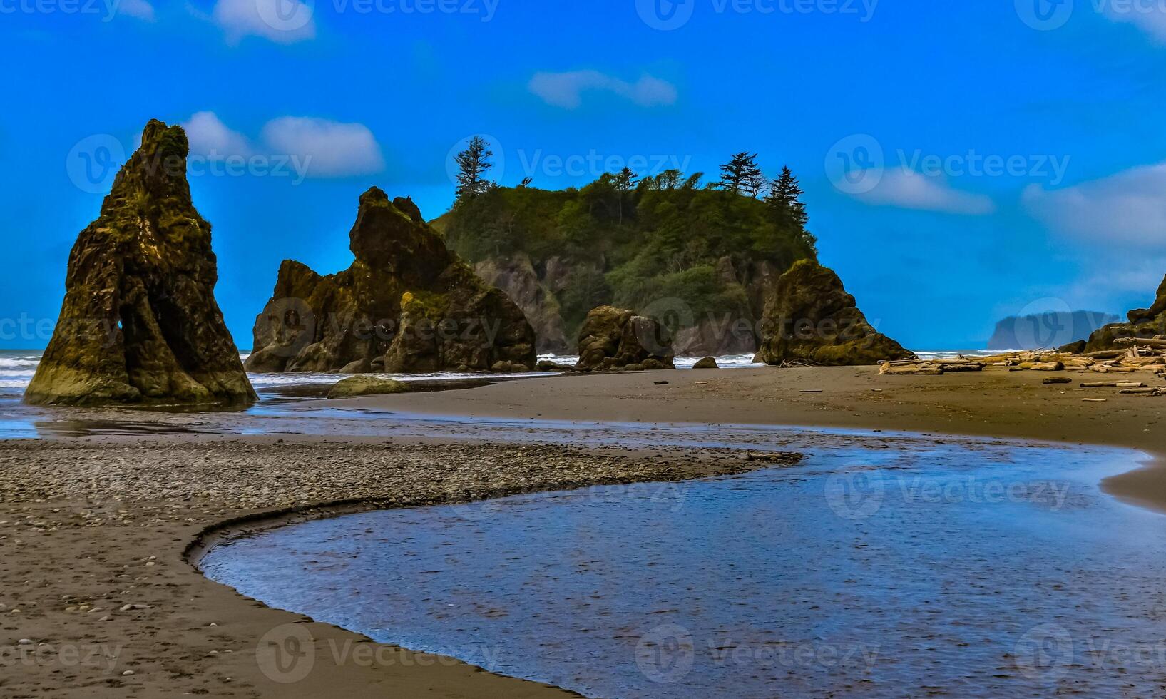 Marine landscape. Small islands and rocks on the shores of the Pacific Ocean in Olympic National Park, Washington photo