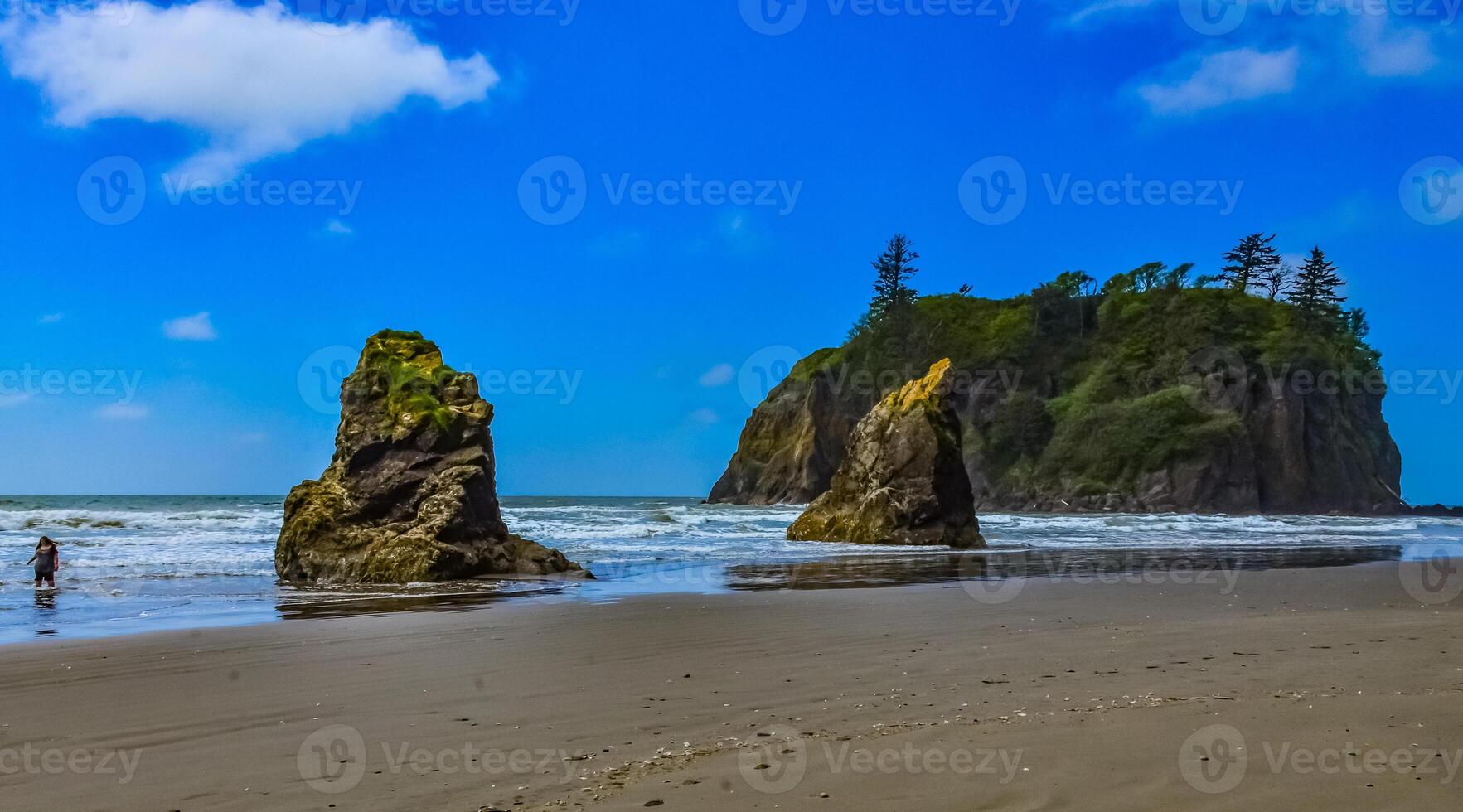 Marine landscape. Small islands and rocks on the shores of the Pacific Ocean in Olympic National Park, Washington photo