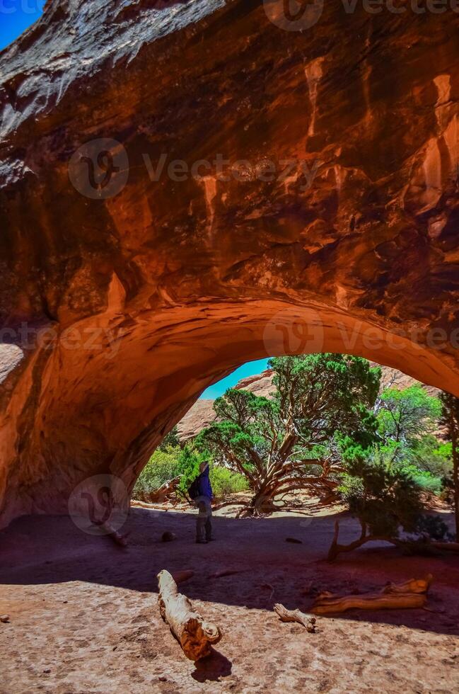 Eroded landscape, Arches National Park, Moab, Utah, US photo