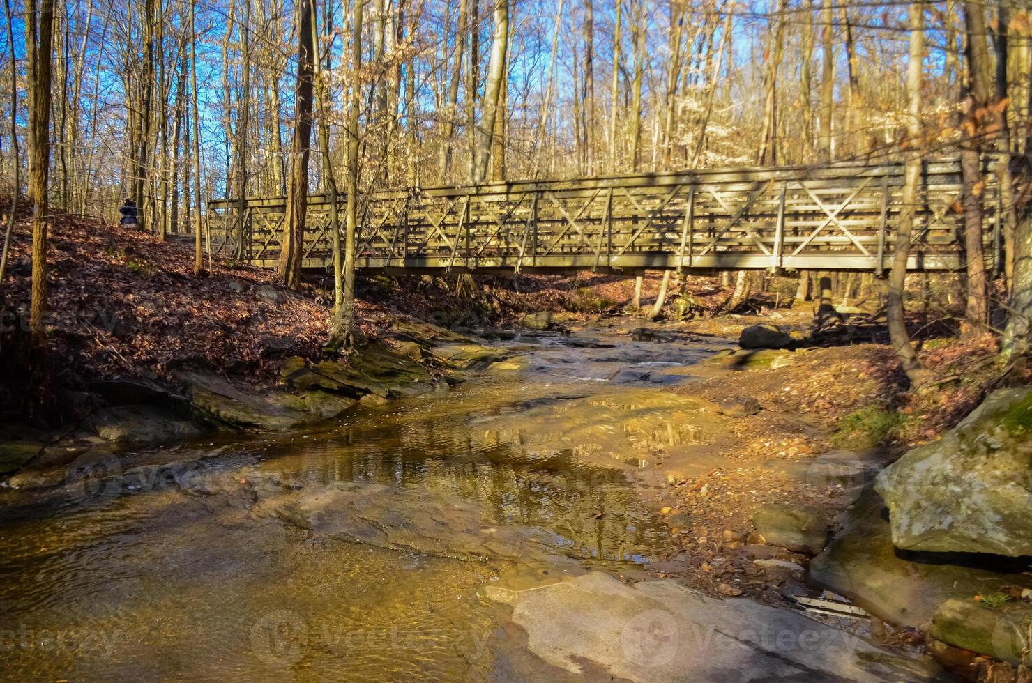 A small river in the autumn in the forest in the parkon Brandywine Creek in Cuyahoga Valley National Park, Ohio. USA photo