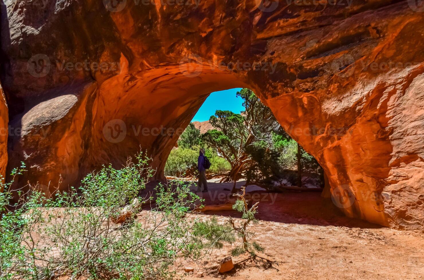 Eroded landscape, Arches National Park, Moab, Utah, US photo