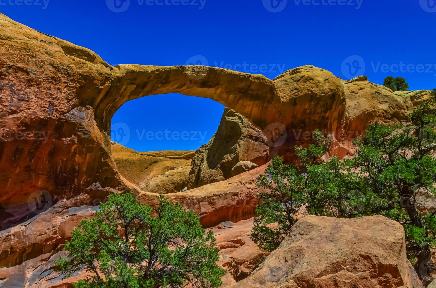 Oblique view of Double O Arch. Arches National Park, Utah, MOAB, US photo