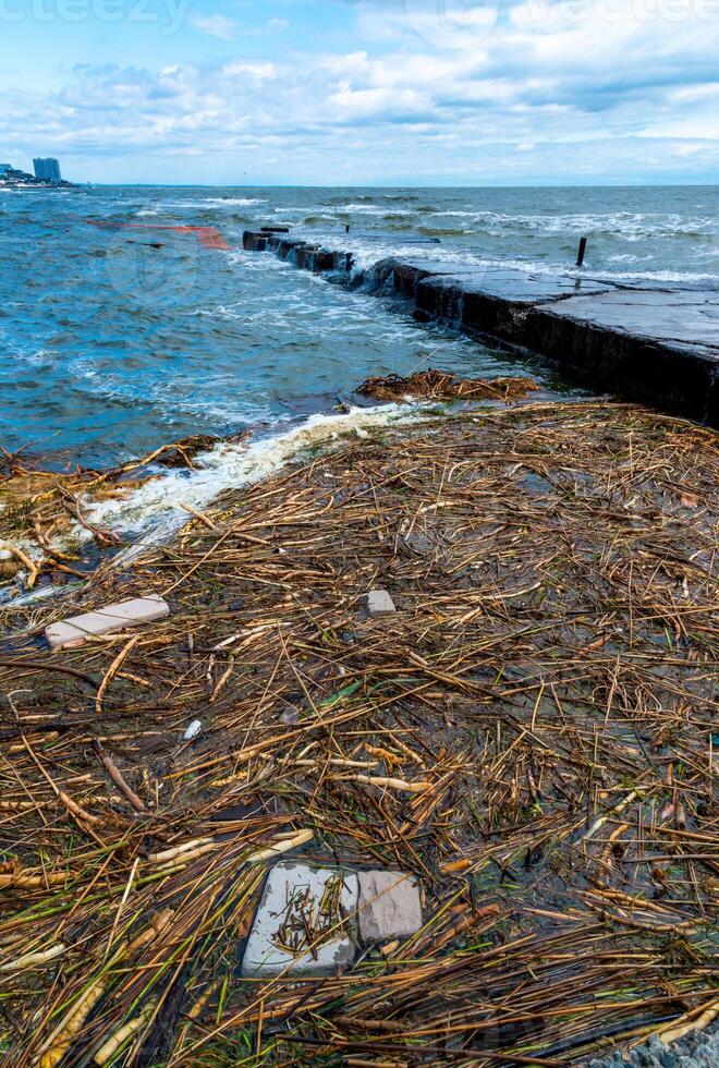 The explosion of the dam of the Kakhovka power plant, tons of floating debris and the roots of aquatic plants sailed to the beaches of Odessa photo