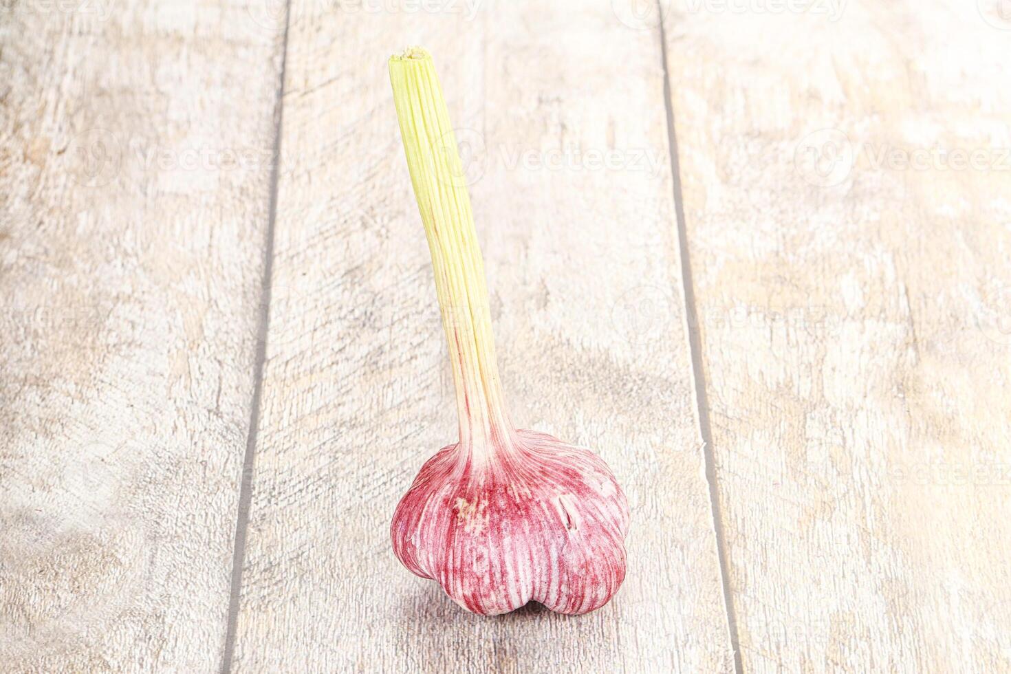 Young fresh garlic for cooking photo