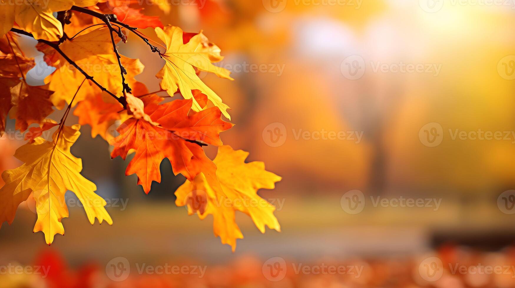 Orange Maple leaves on a Branch with sun rays, Morning Autumn Blurred Background photo