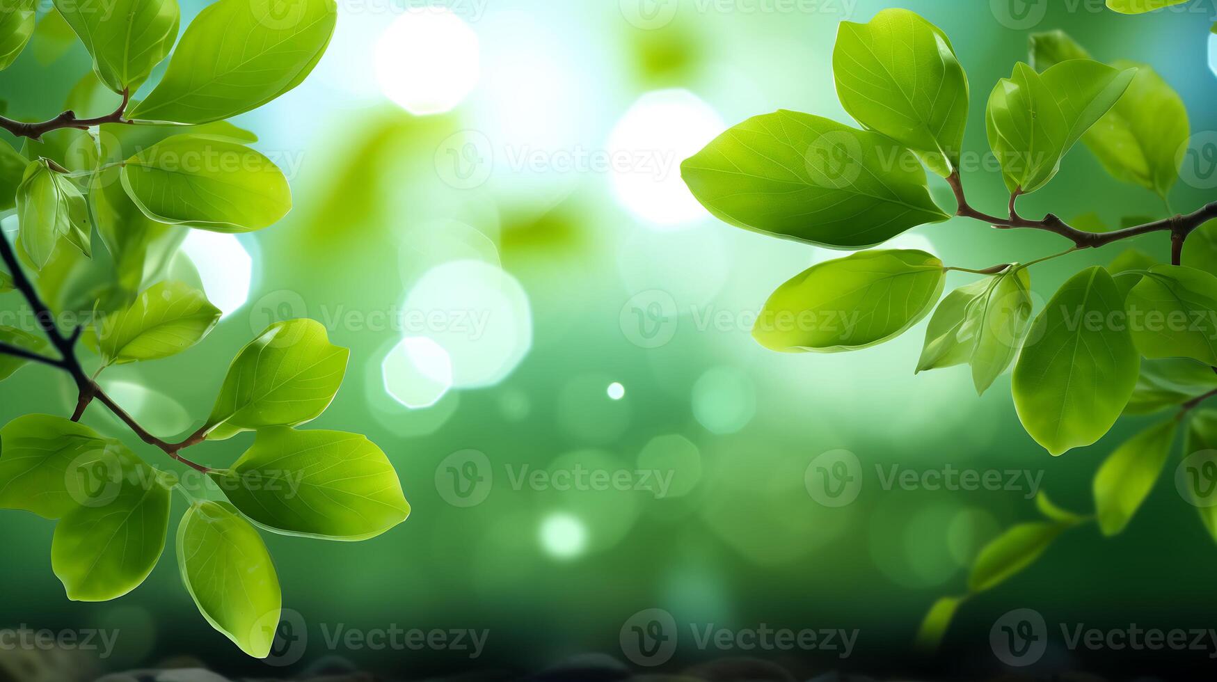 A closeup of a tree branch with green leaves on a green backdrop photo