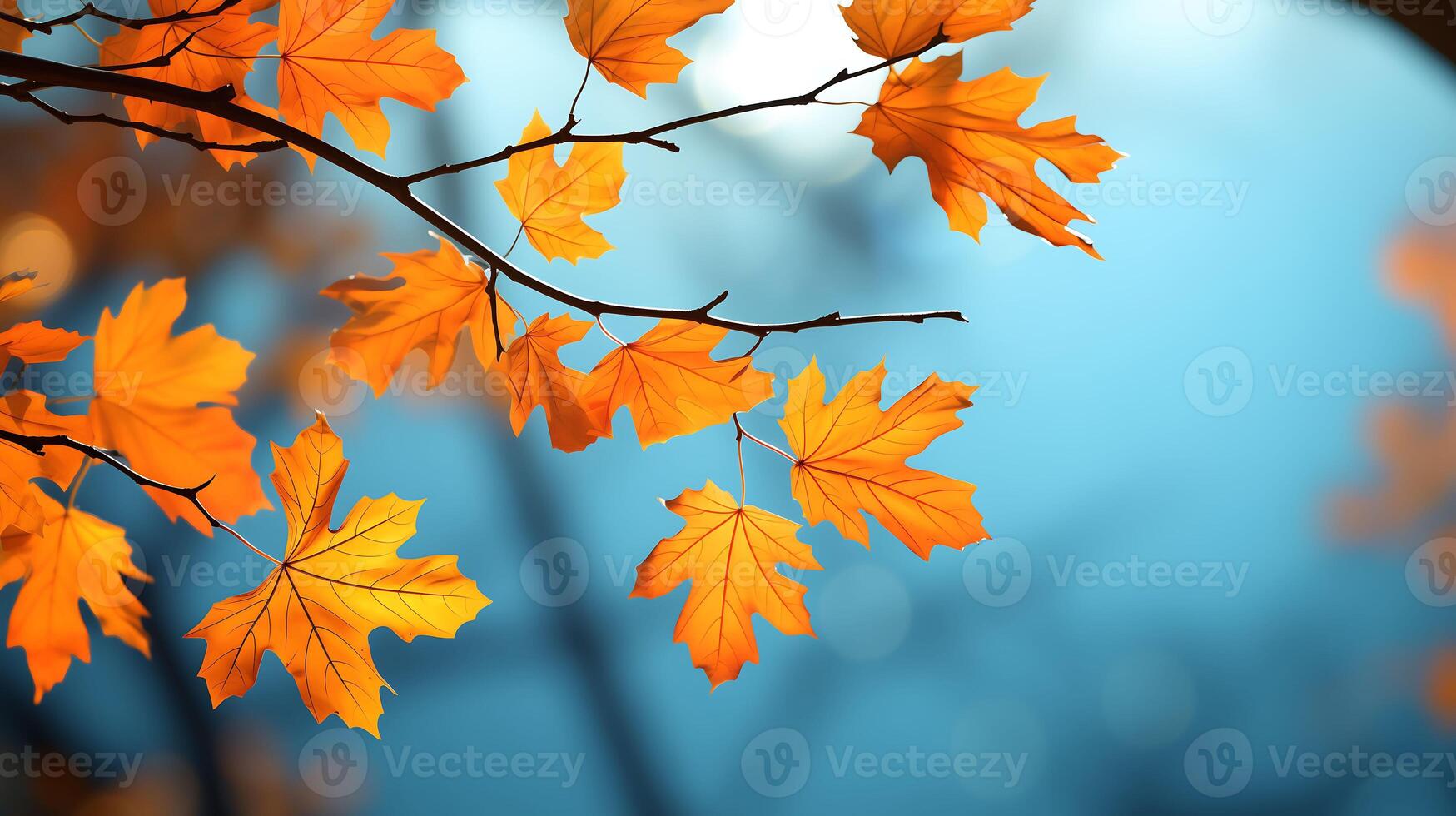 Colorful autumn maple leaves on a tree branch against a blue background summer backdrop photo