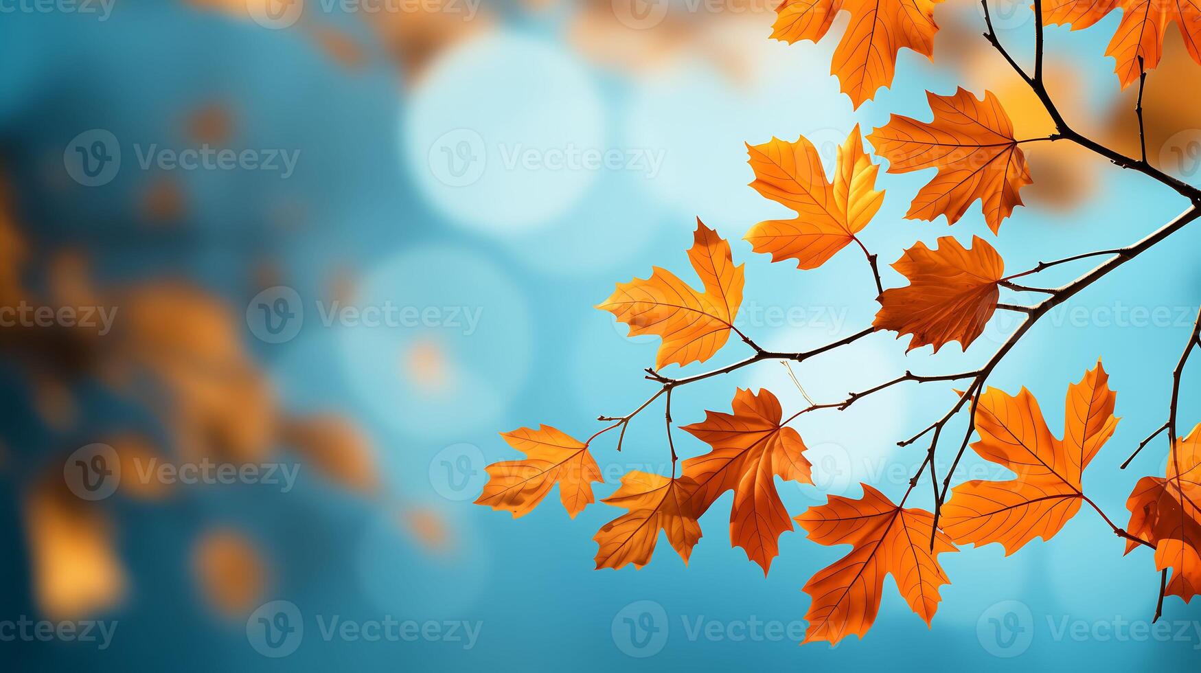 Autumn leaves on a tree branch against a blue background summer backdrop photo