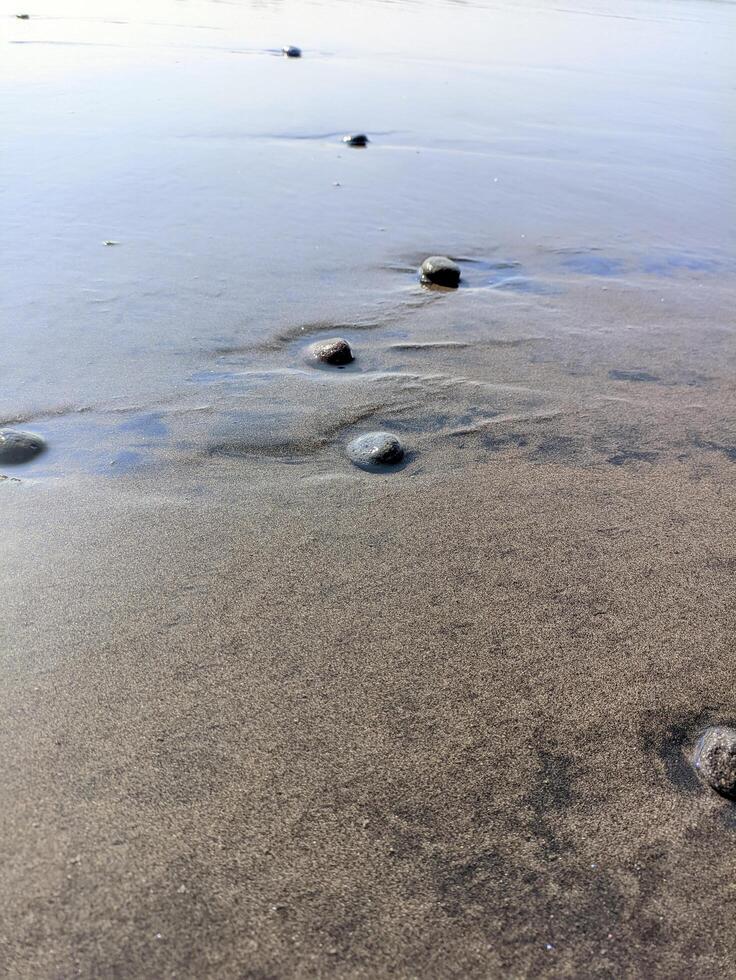 Coral rocks carried by waves and buried in the sand photo