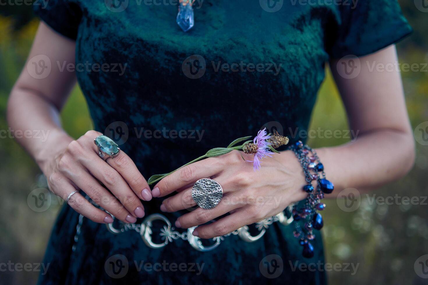 woman in whimsical aesthetic style dress in field in summer at sunset photo