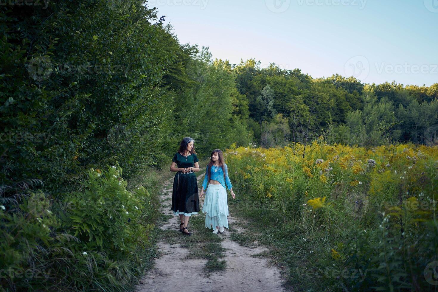 two woman in a whimsical aesthetic style dress in a field in the summer at sunset photo