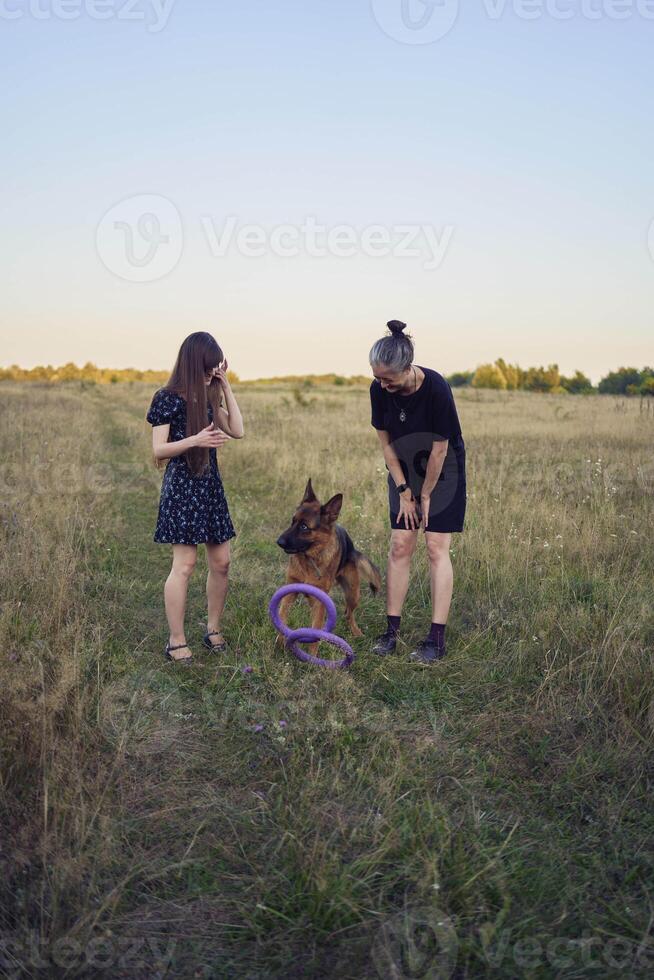 two women play in the field with a german shepherd dog toy at sunset photo
