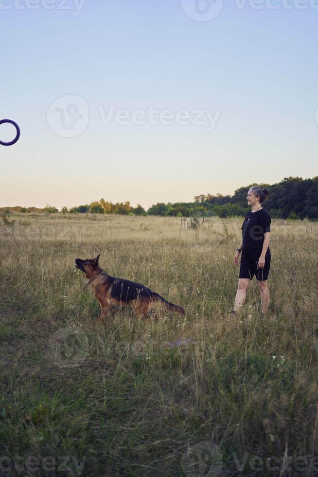 two women play in the field with a german shepherd dog toy at sunset photo