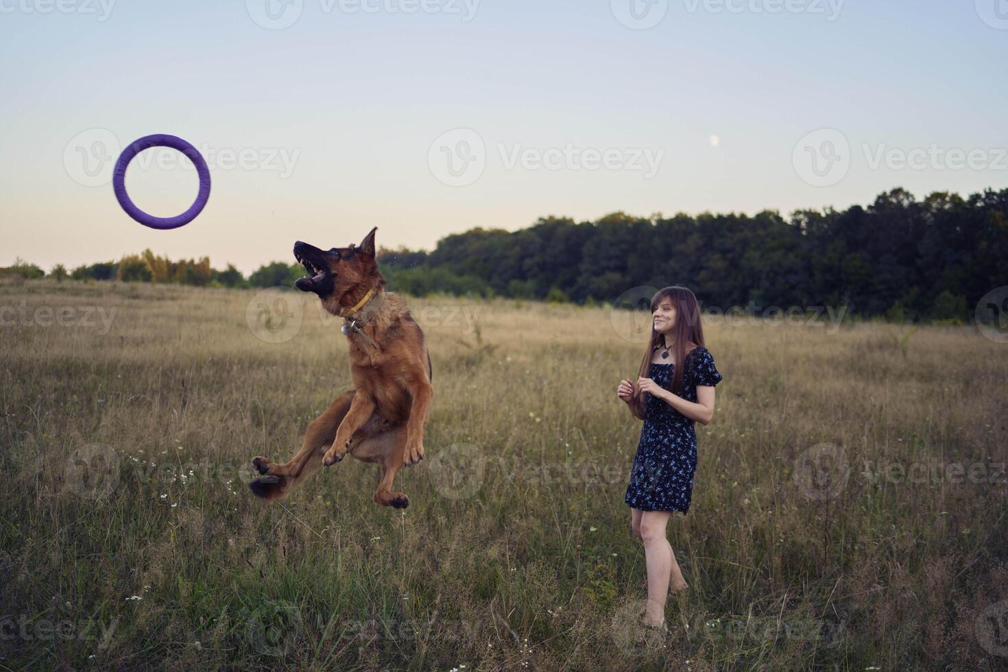 two women play in the field with a german shepherd dog toy at sunset photo