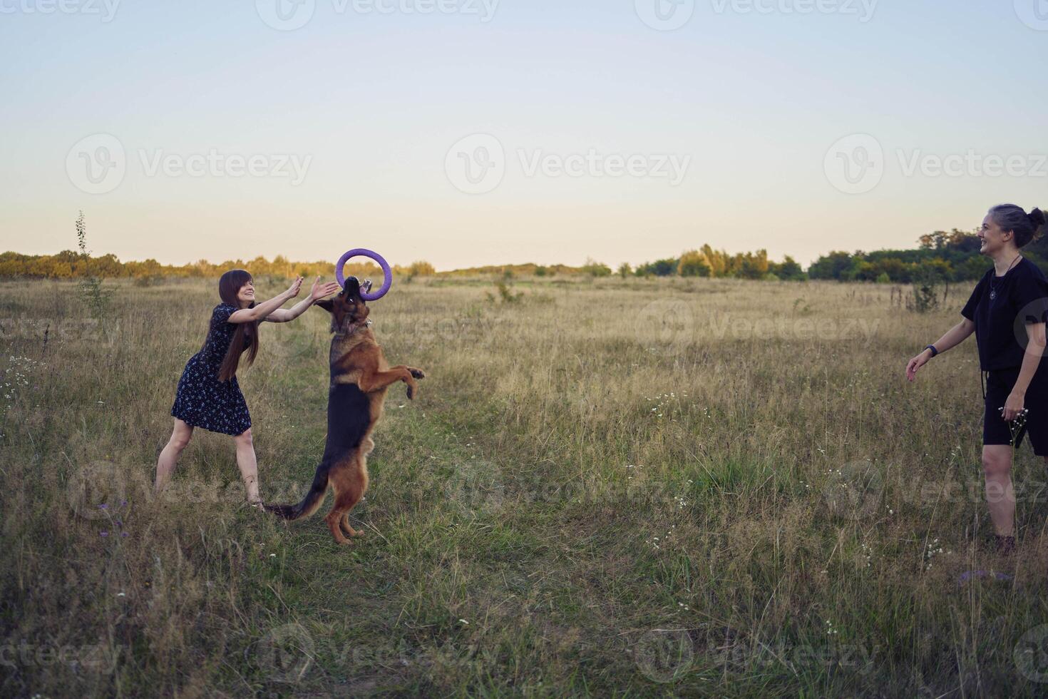 two women play in the field with a german shepherd dog toy at sunset photo