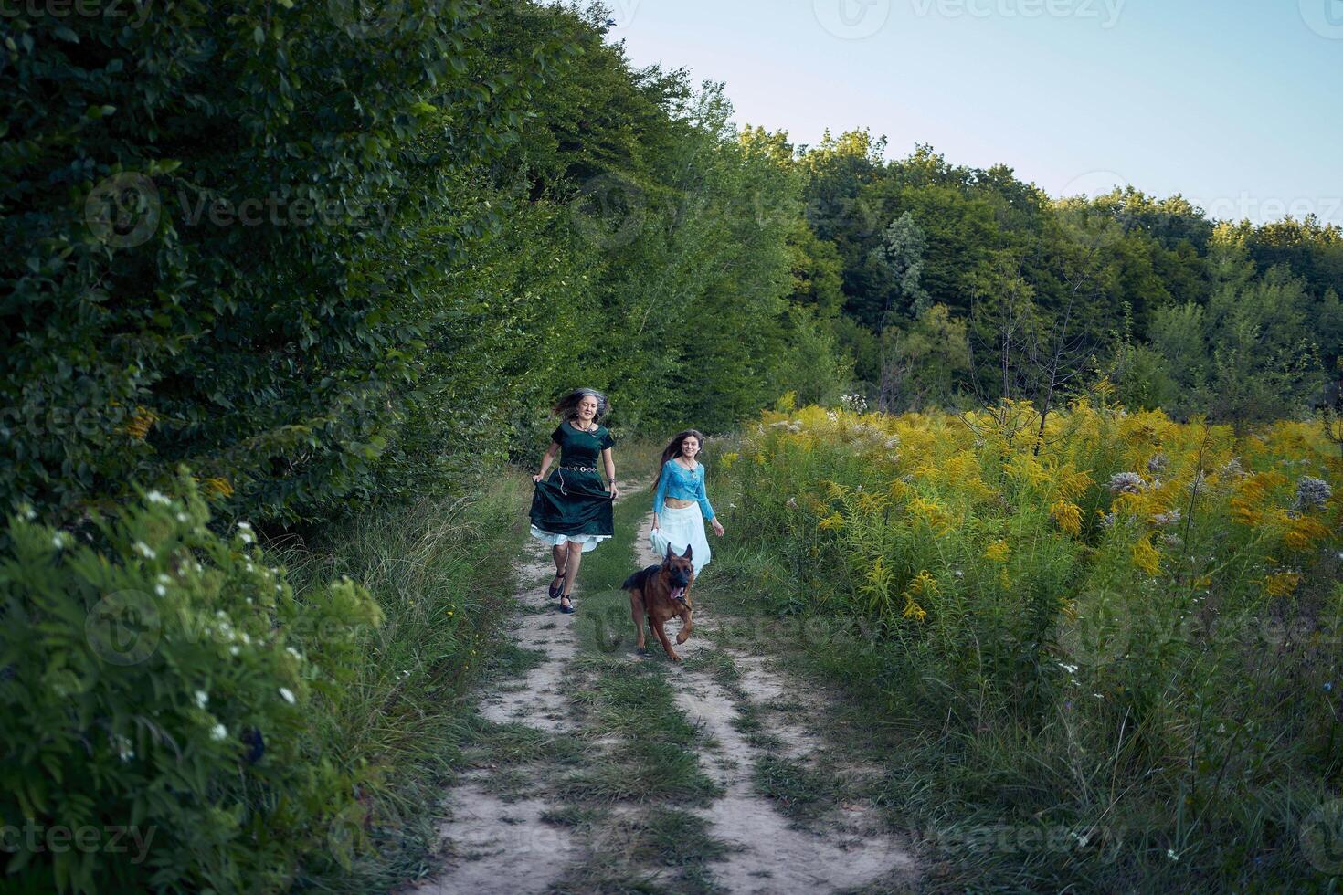two woman in a whimsical aesthetic style dress with a german shepherd in a field in the summer at sunset photo