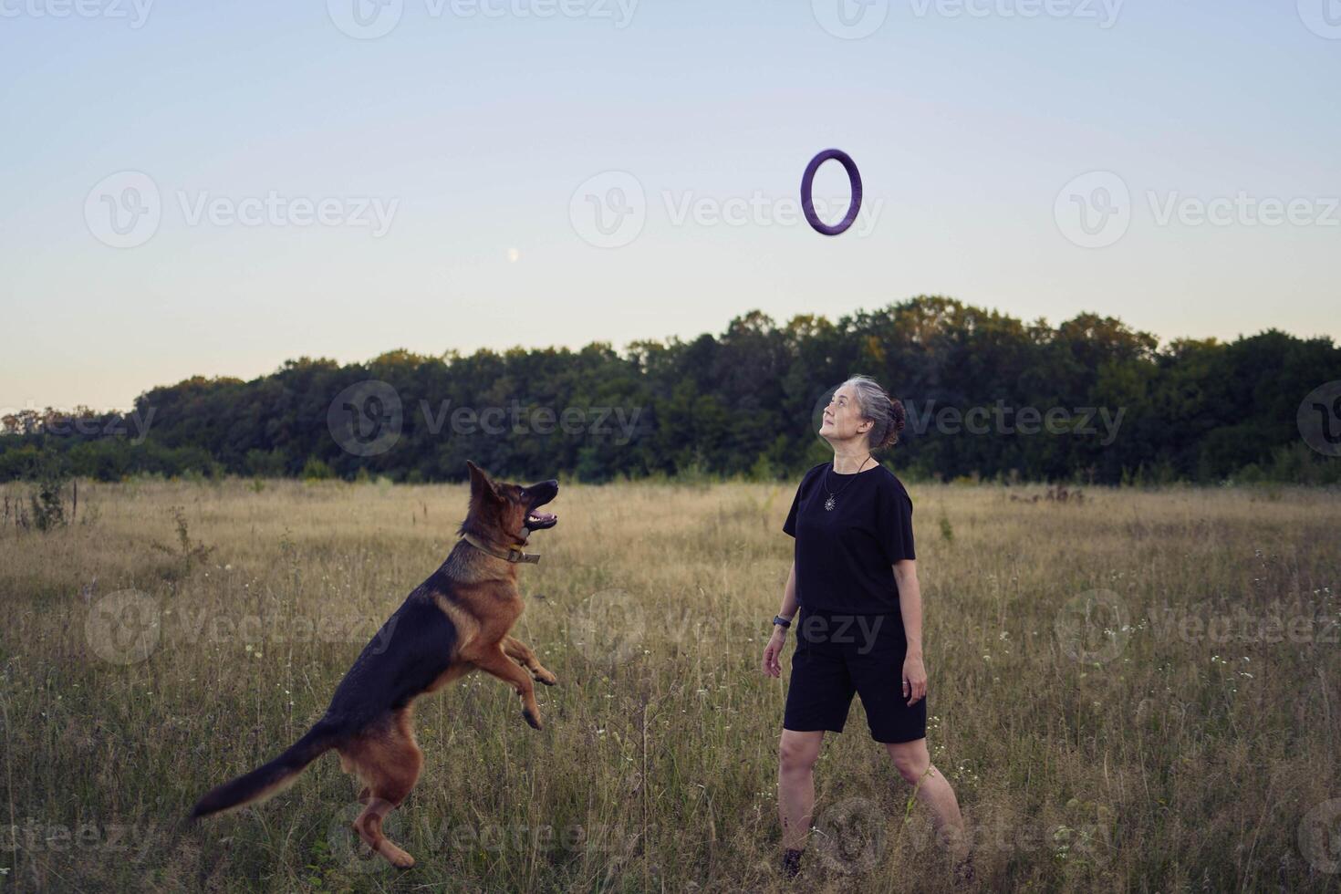 two women play in the field with a german shepherd dog toy at sunset photo