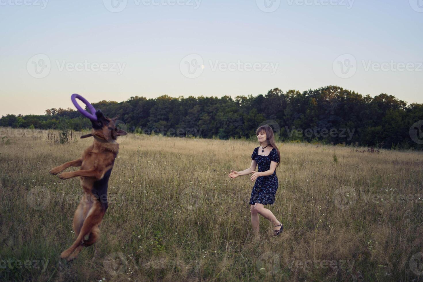 two women play in the field with a german shepherd dog toy at sunset photo