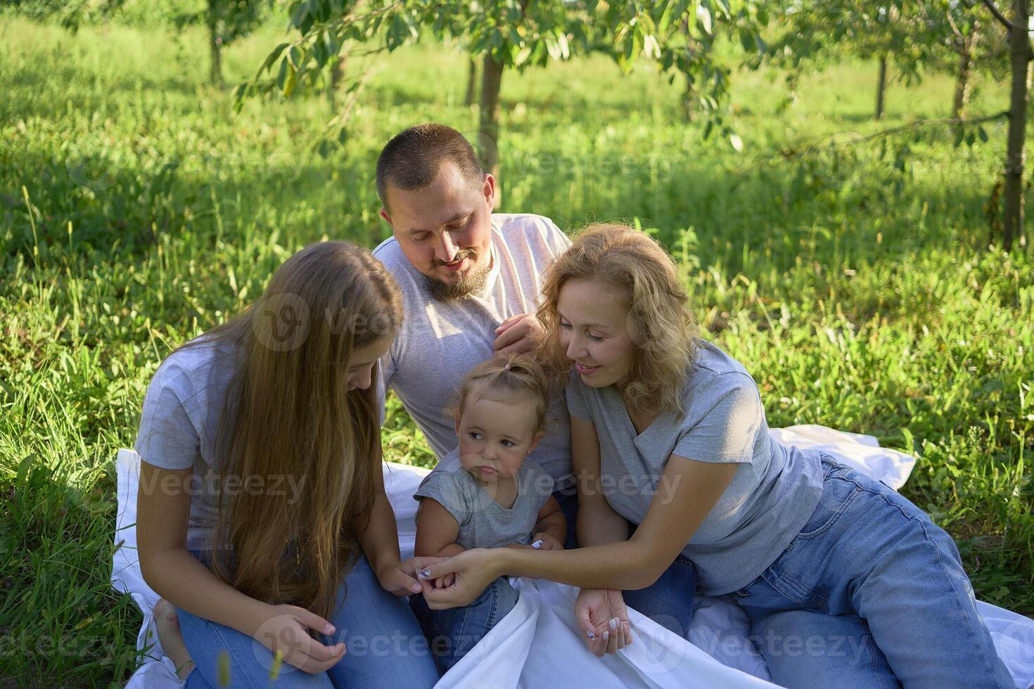 a family of four on a picnic in the park photo