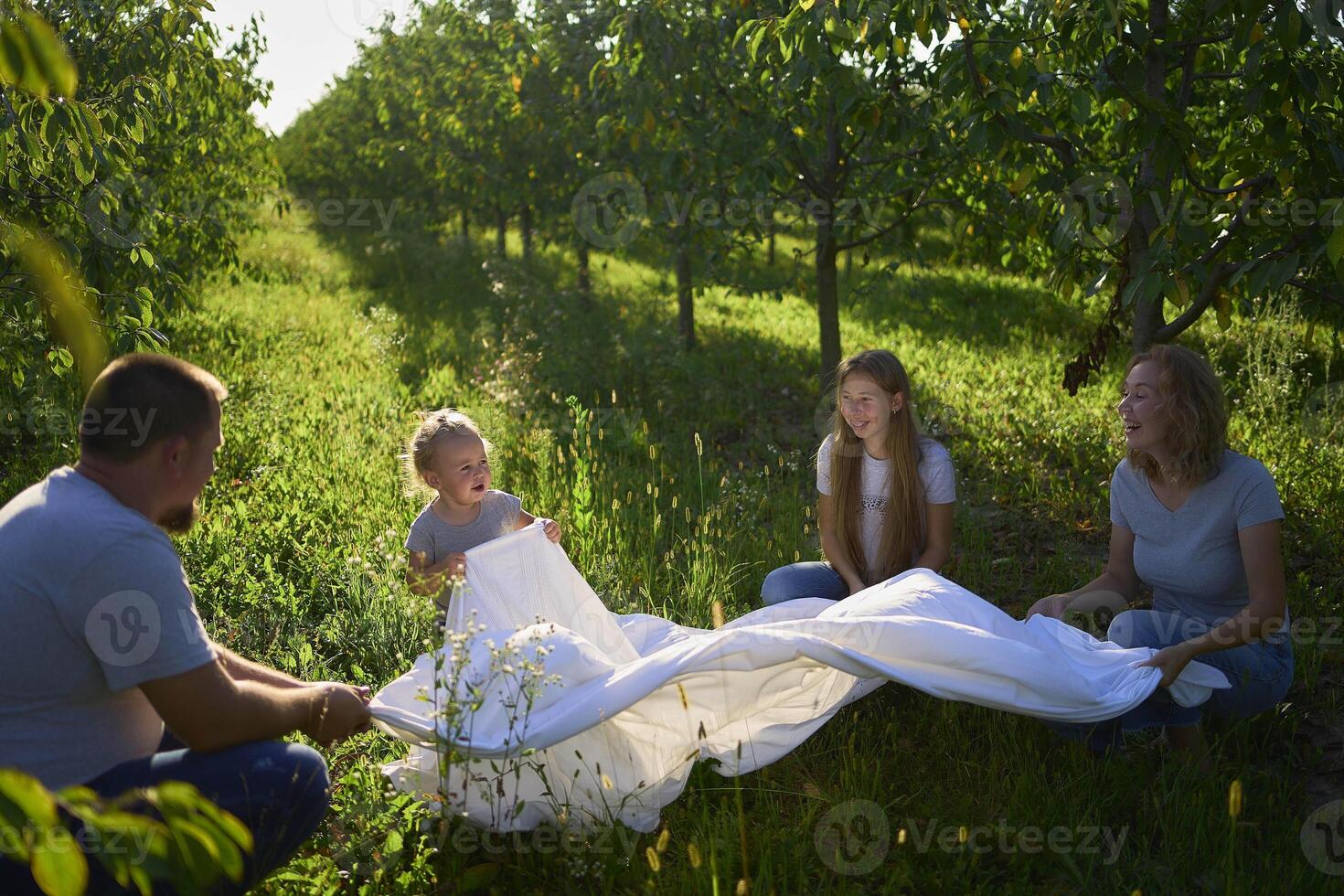 a family of four is playing with a white sheet in the garden, a toddler wants to flutter the sheet photo
