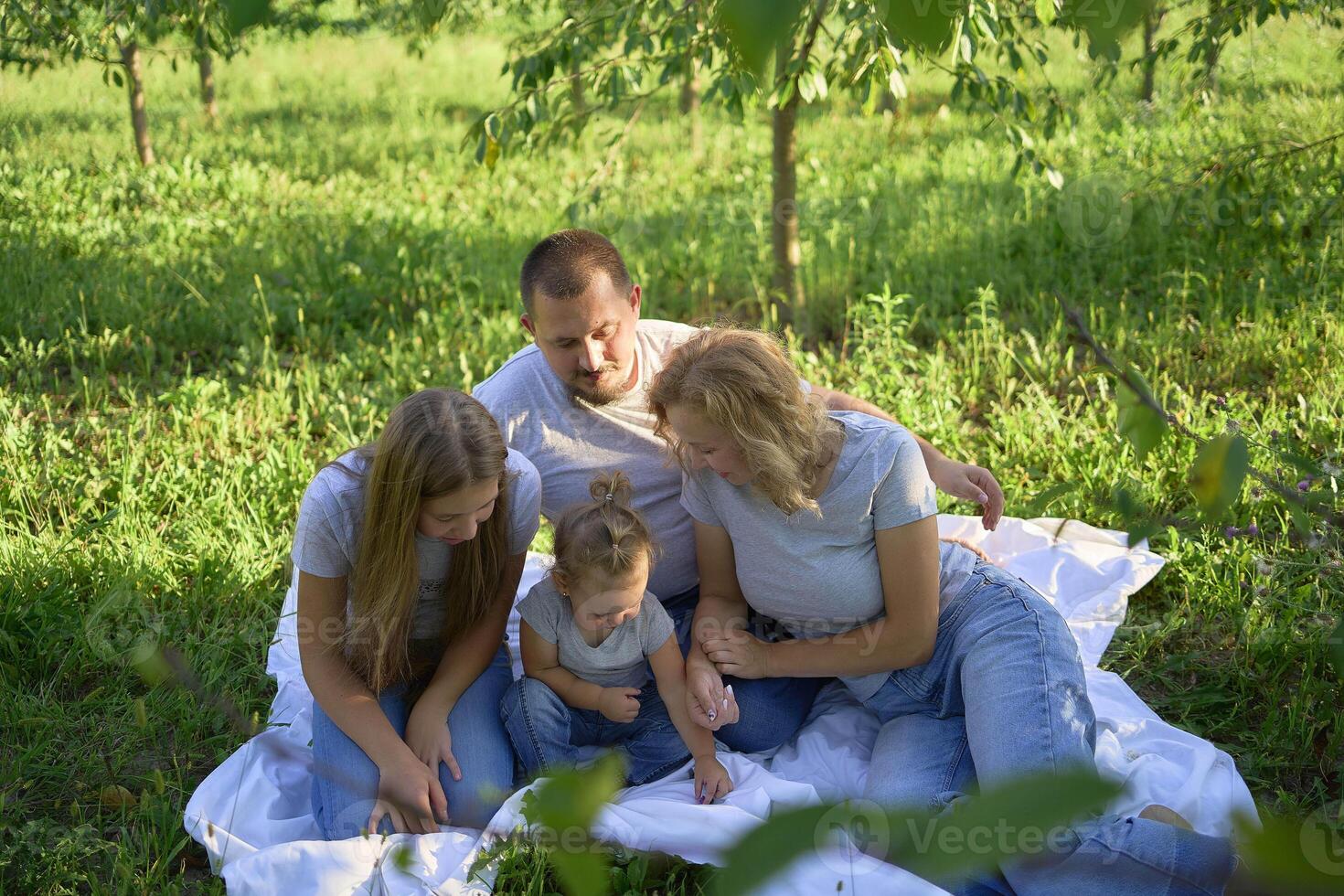 a family of four on a picnic in the park photo