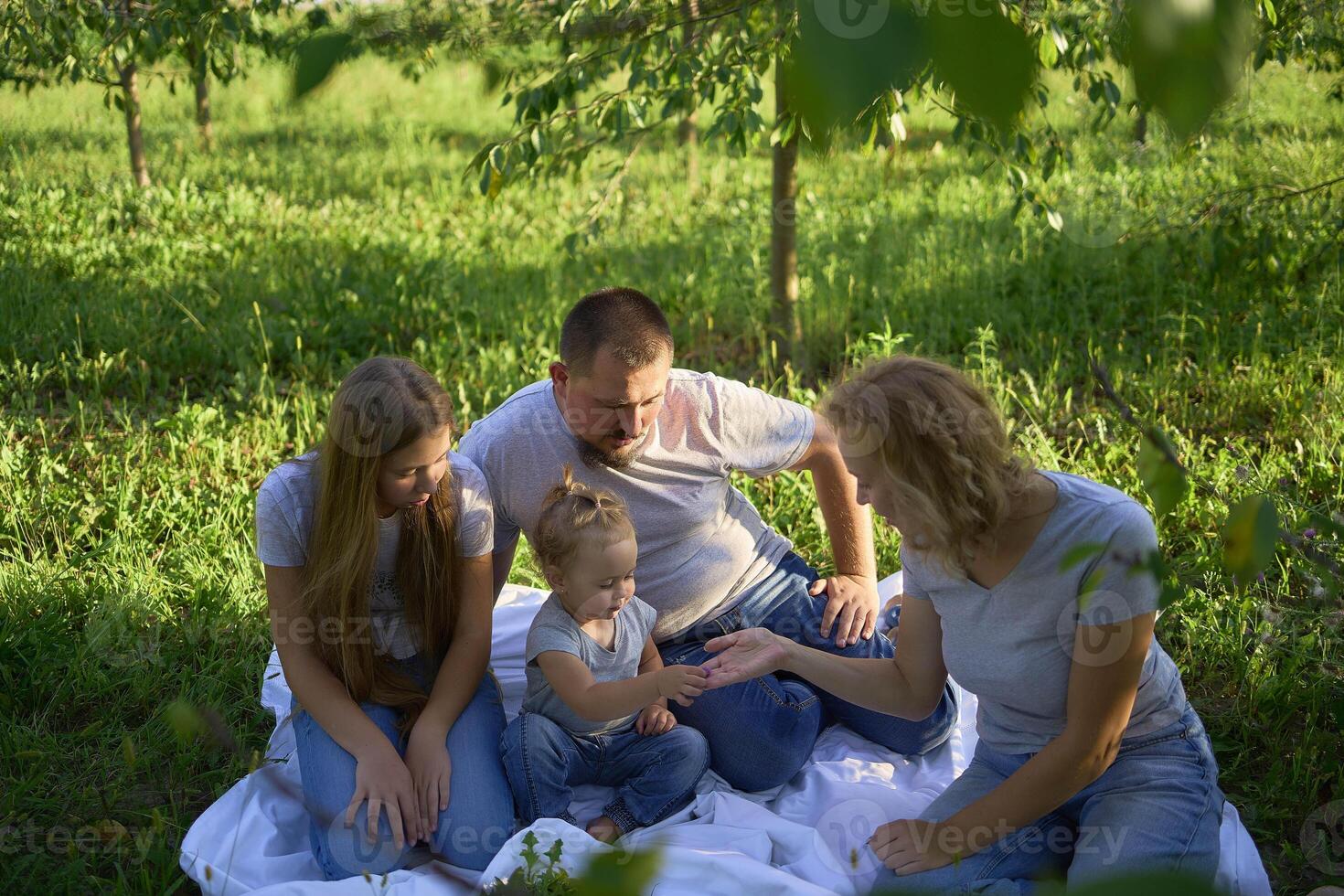 a family of four on a picnic in the park photo