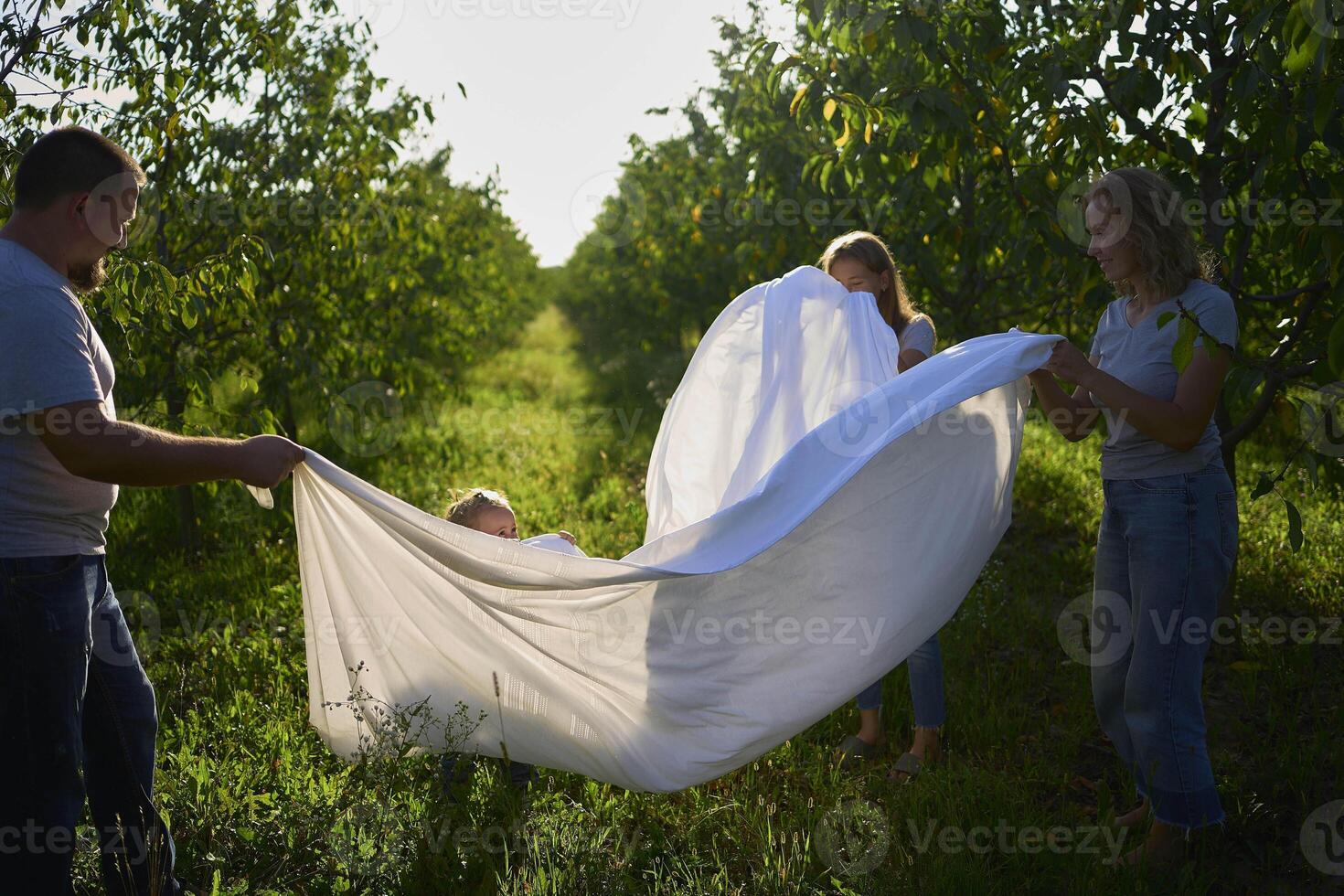 a family of four is playing with a white sheet in the garden, a toddler wants to flutter the sheet photo