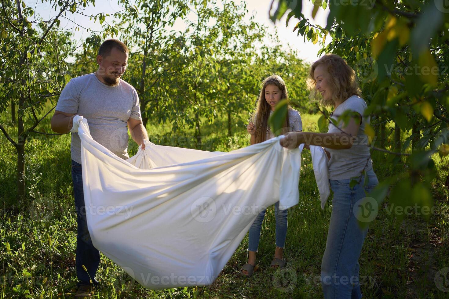 a family of four is playing with a white sheet in the garden, a toddler wants to flutter the sheet photo
