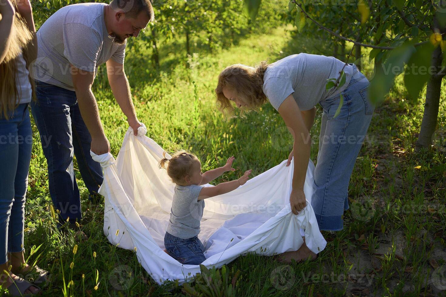 a family of four is playing with a white sheet in the garden, a toddler wants to flutter the sheet photo