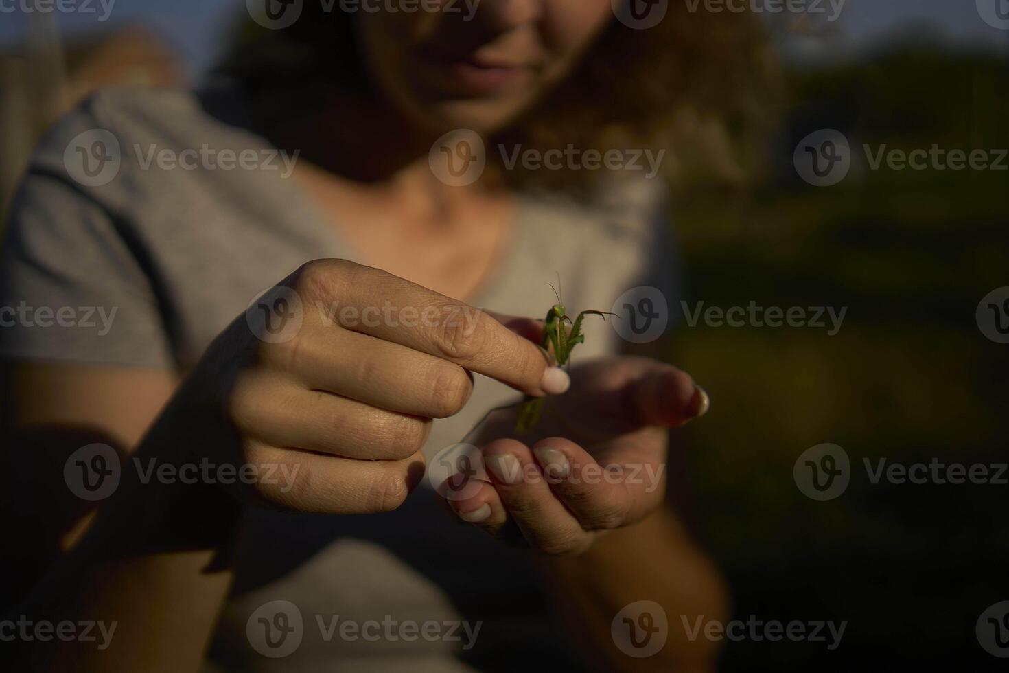 a woman holds a large grasshopper on her hand photo