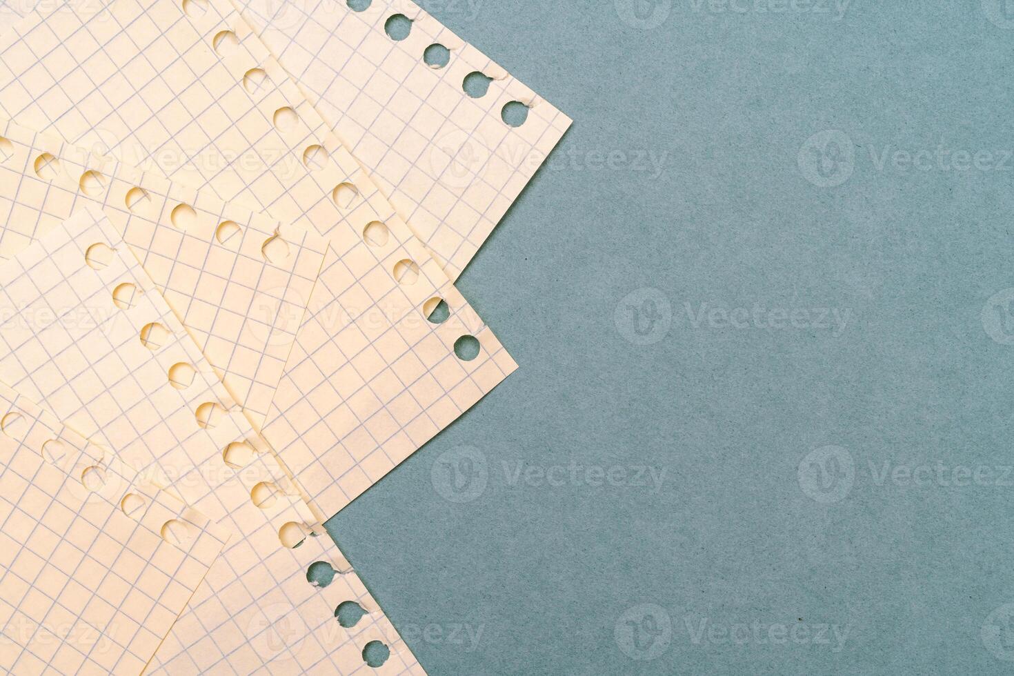 Blank notebook pages. Background for writing stationery text. photo