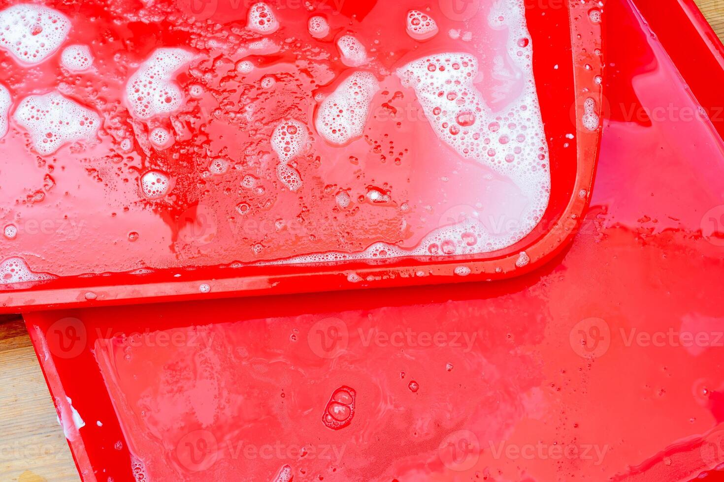 Disinfection of red plastic food tray in fast food. Washing the tray with a sponge and soap. photo