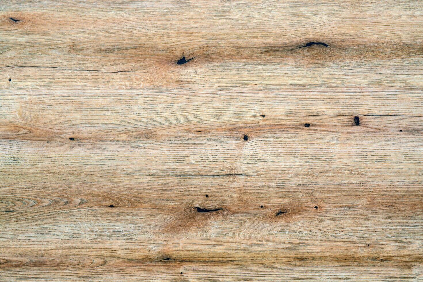 Beautiful wood plank texture. Abstract background design. photo