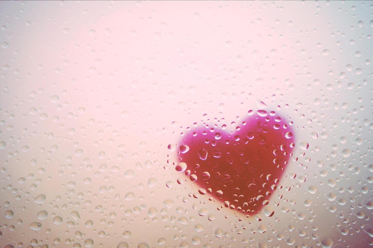 A Symbol of Passion and Love photo