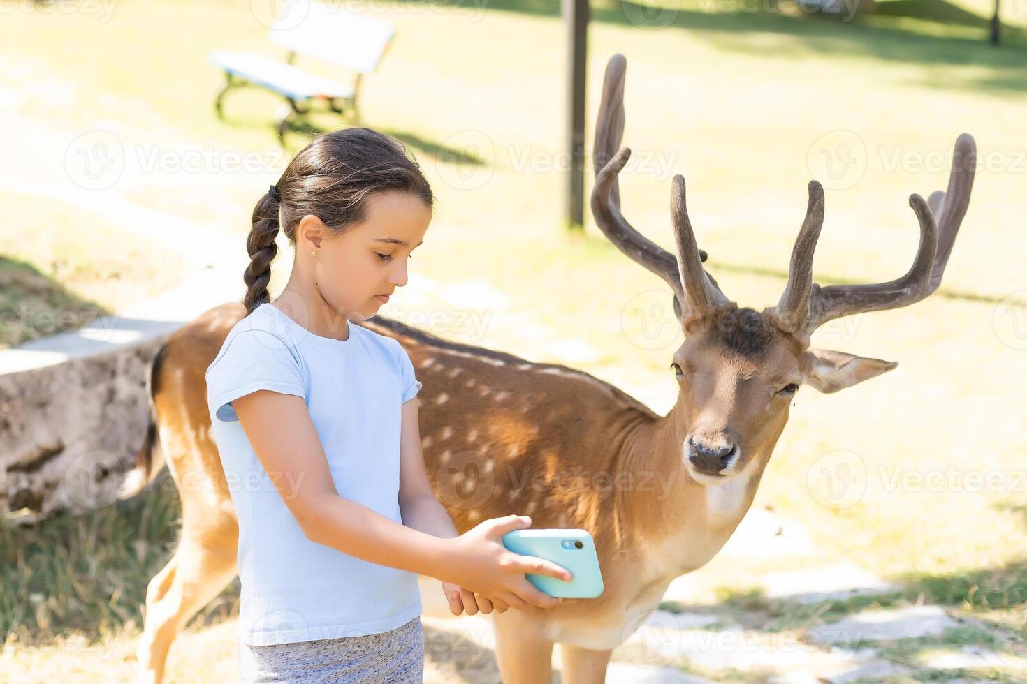 Exciting experience. Cute little girl watching and stroking young dappled deer with food while spending great time with her family in zoo. National Park. Animals photo