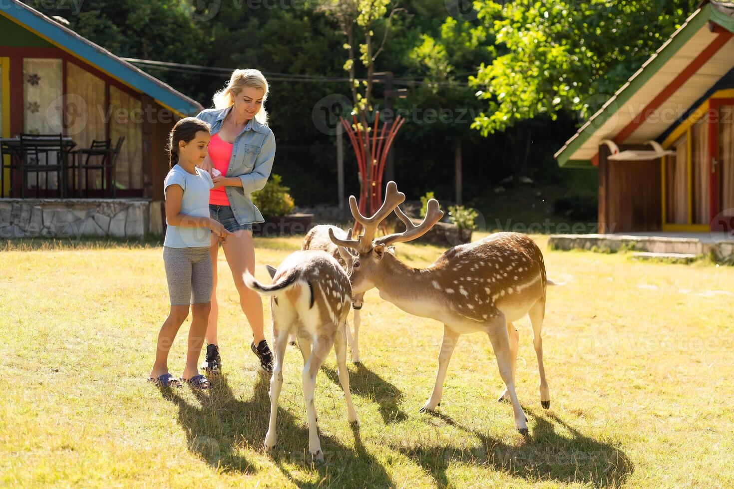 Photo of a young girl feeding deer and hugs him