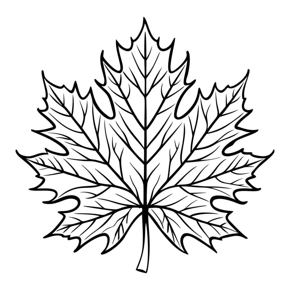 Autumn leaf on a white background. Hand drawing. Outline. Coloring. vector