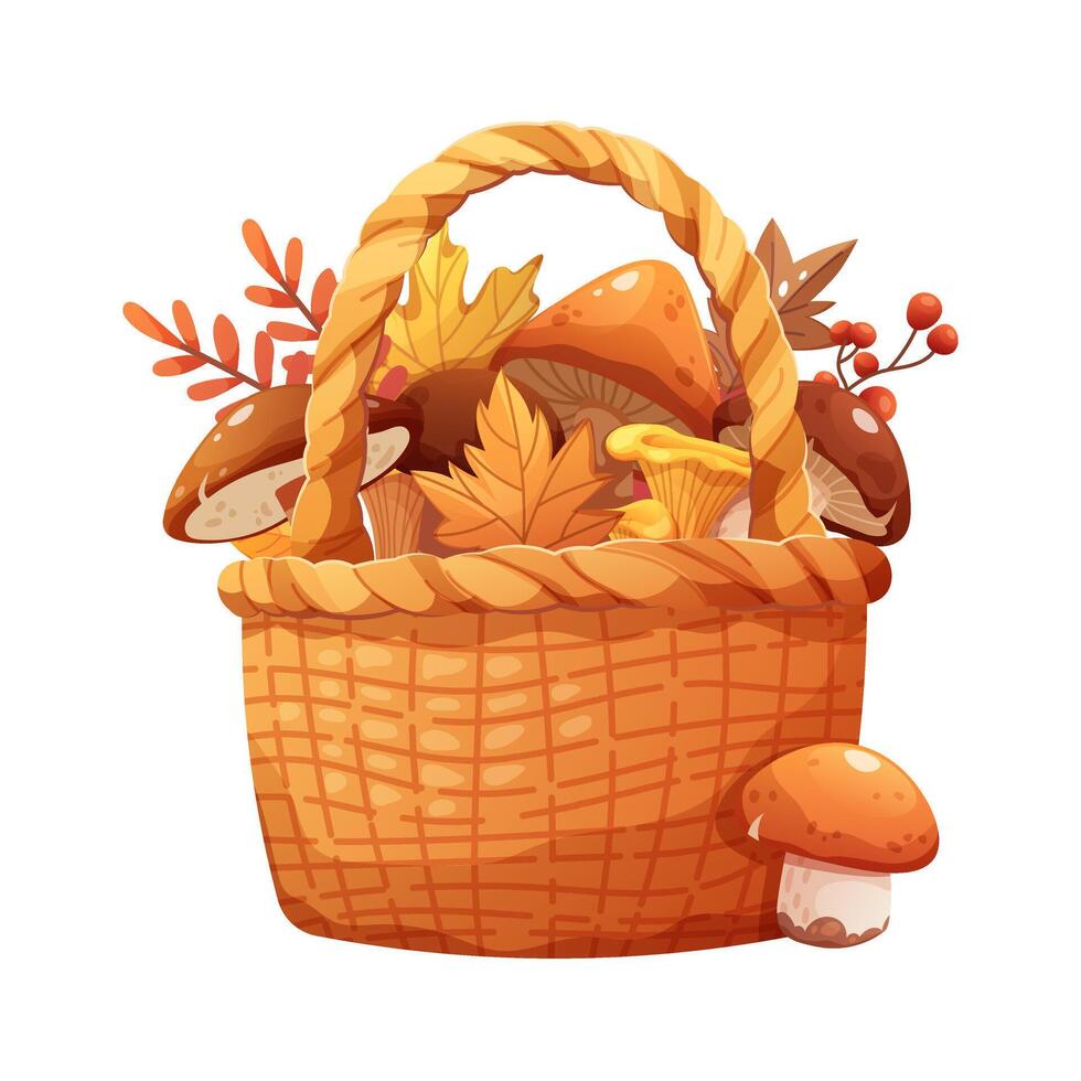 Wicker basket with autumn mushrooms on white background. drawn illustration. Postcard Hello Autumn vector