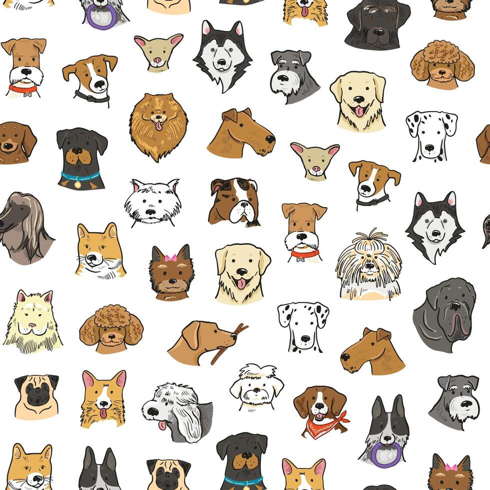 Set of different dog breeds illustration in a flat style. vector