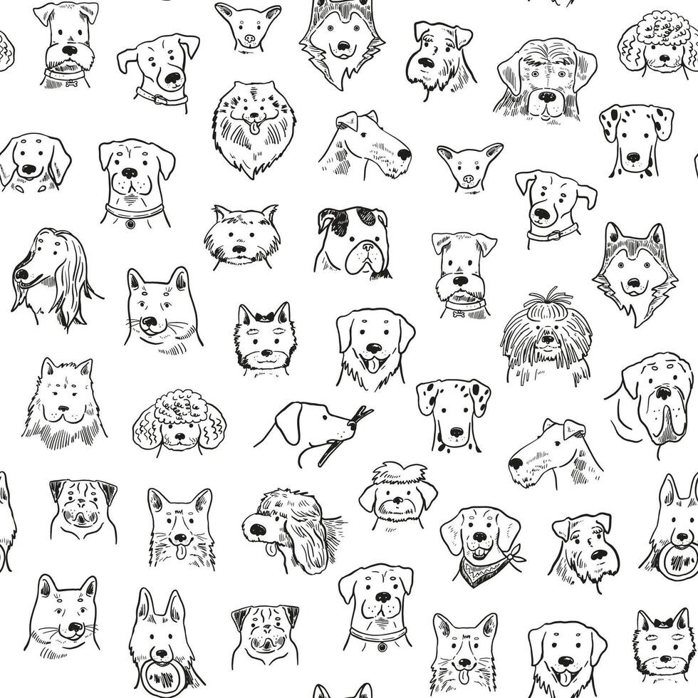 Set of different dog breeds illustration in a flat style. vector