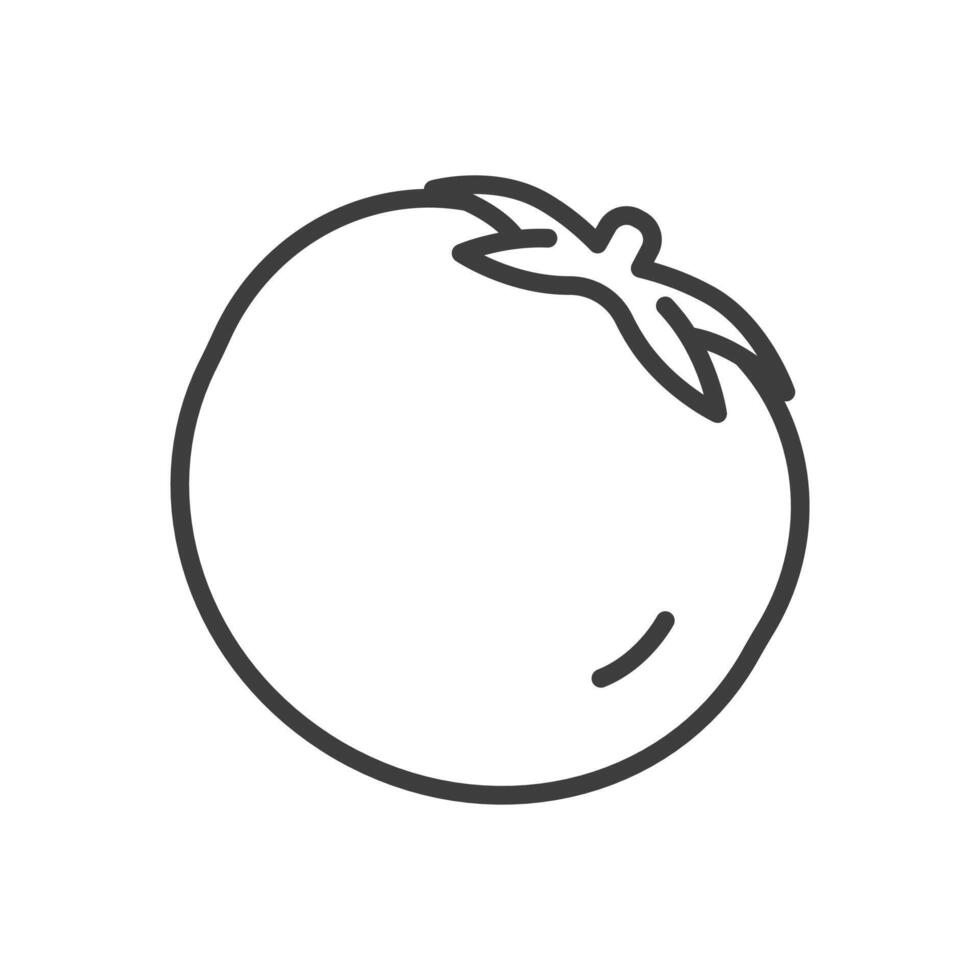 Icon tomato simple line. Style outline illustration. logo, web vector