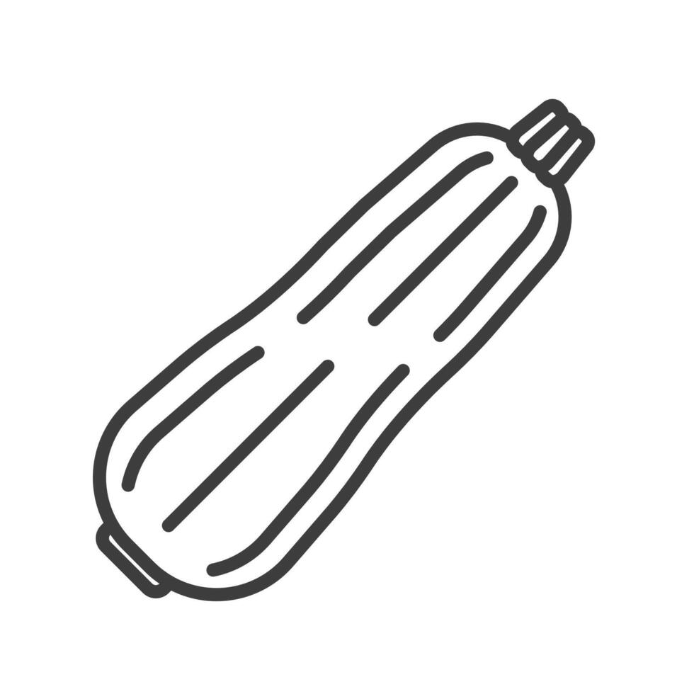 Zucchini icon outline. Food vegetables icon. Zucchini simple line vector