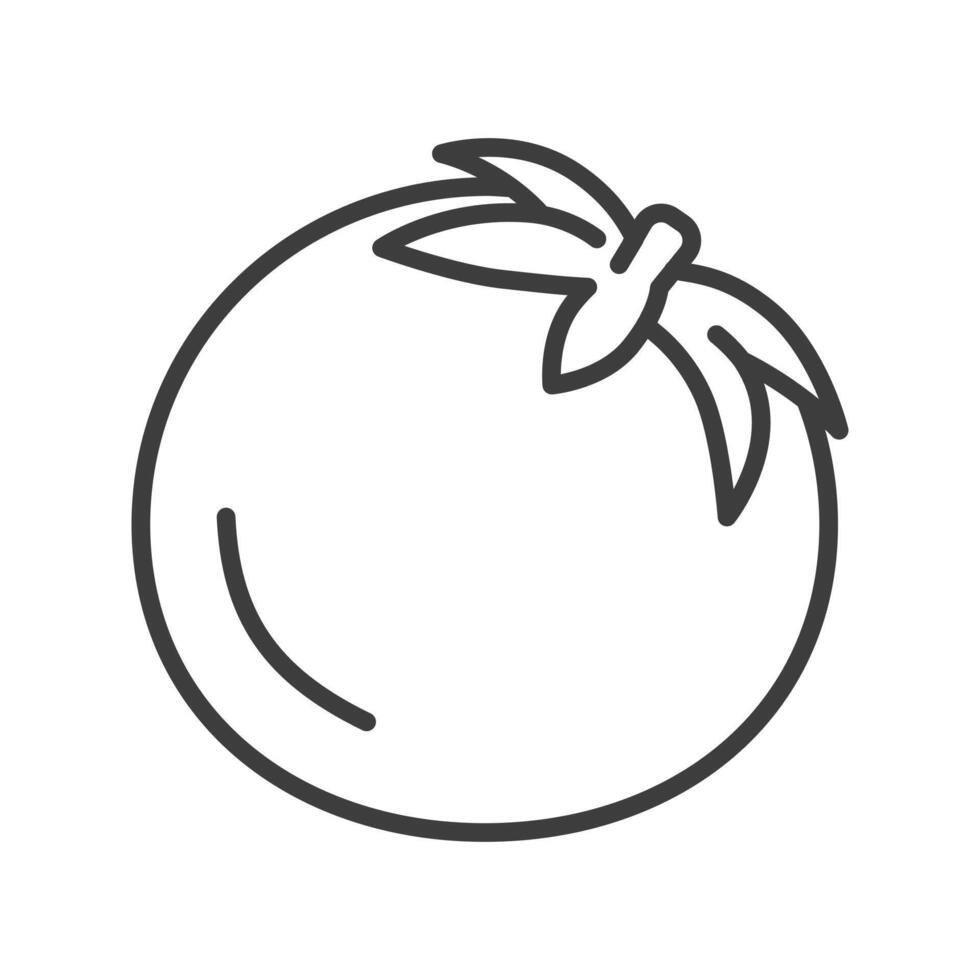 Tomato icon simple line. Outline style illustration. solated in white. logo web vector