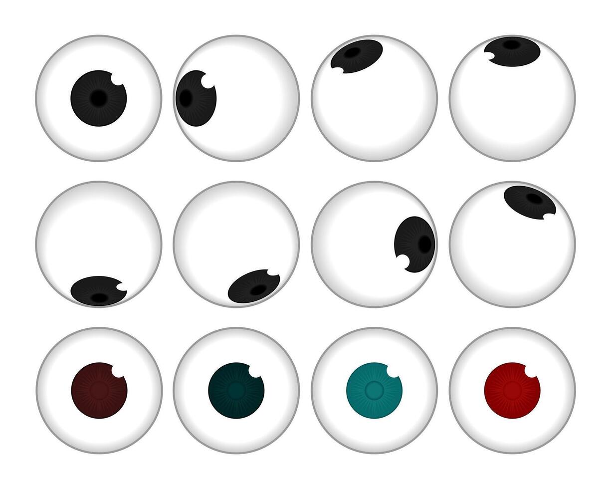 Eyeball icon. Human eyeball spinning different position vector