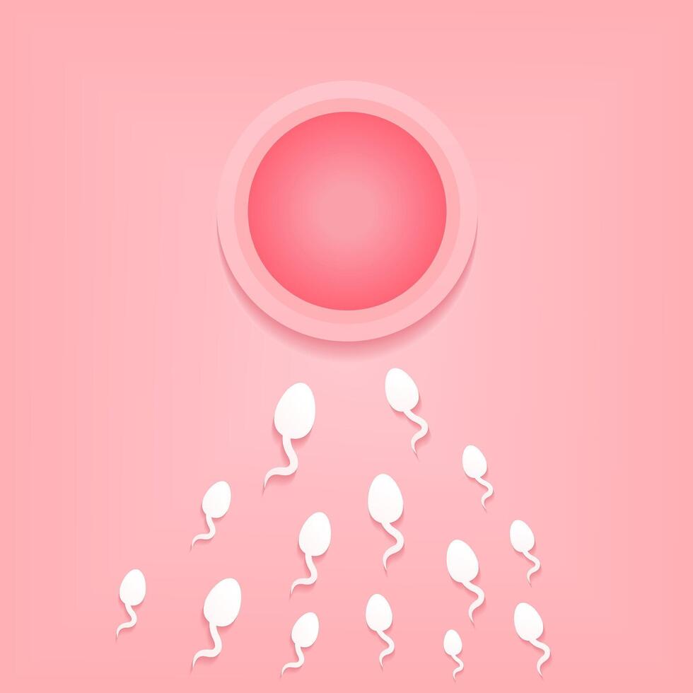 Human fertilization. Sperm and egg. Sperm that runs towards the egg vector
