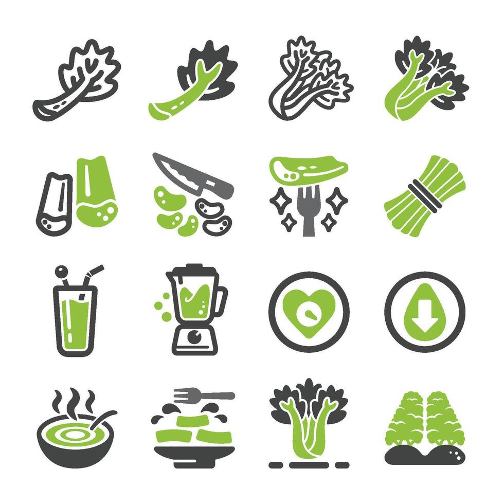 celery icon set vector