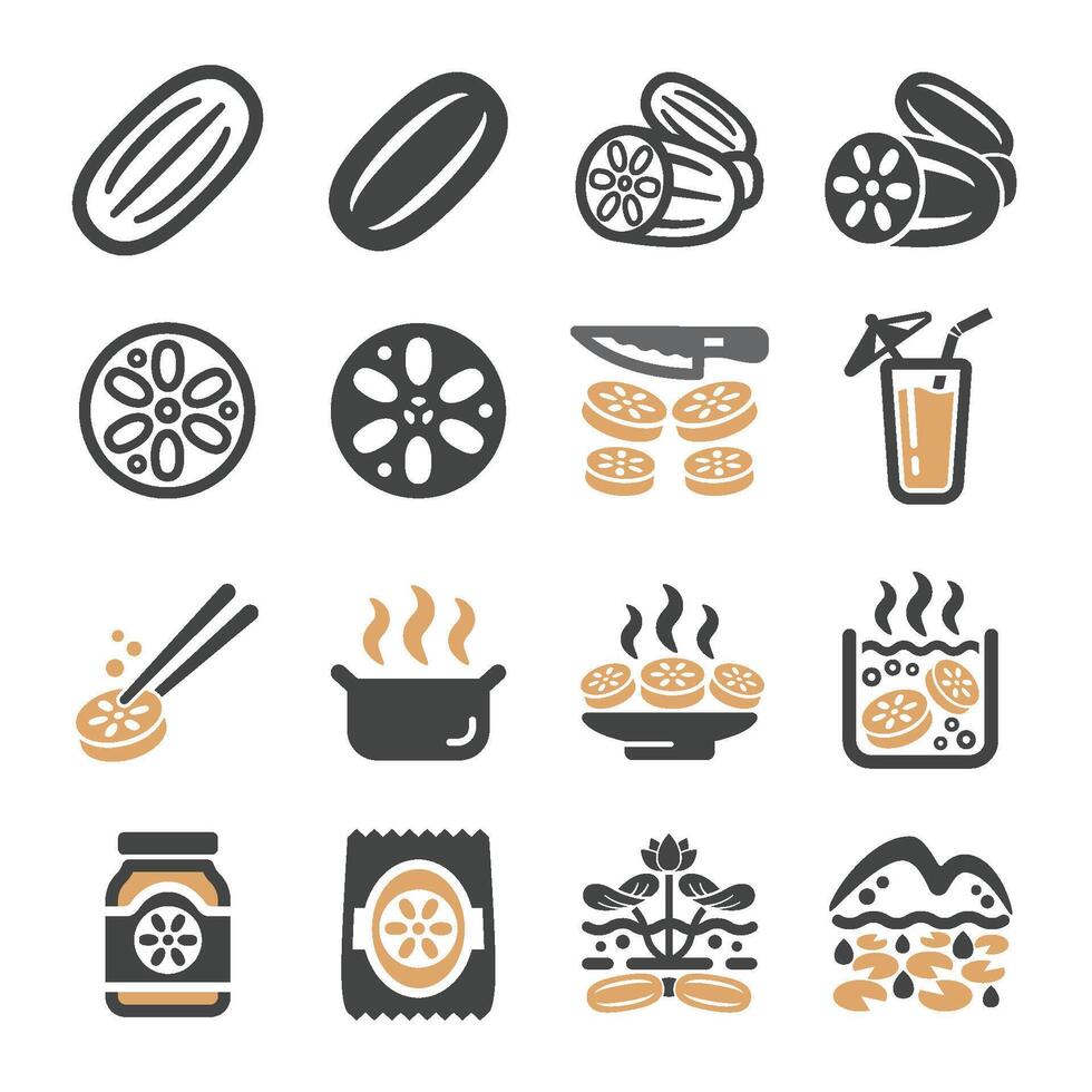 lotus root icon set vector
