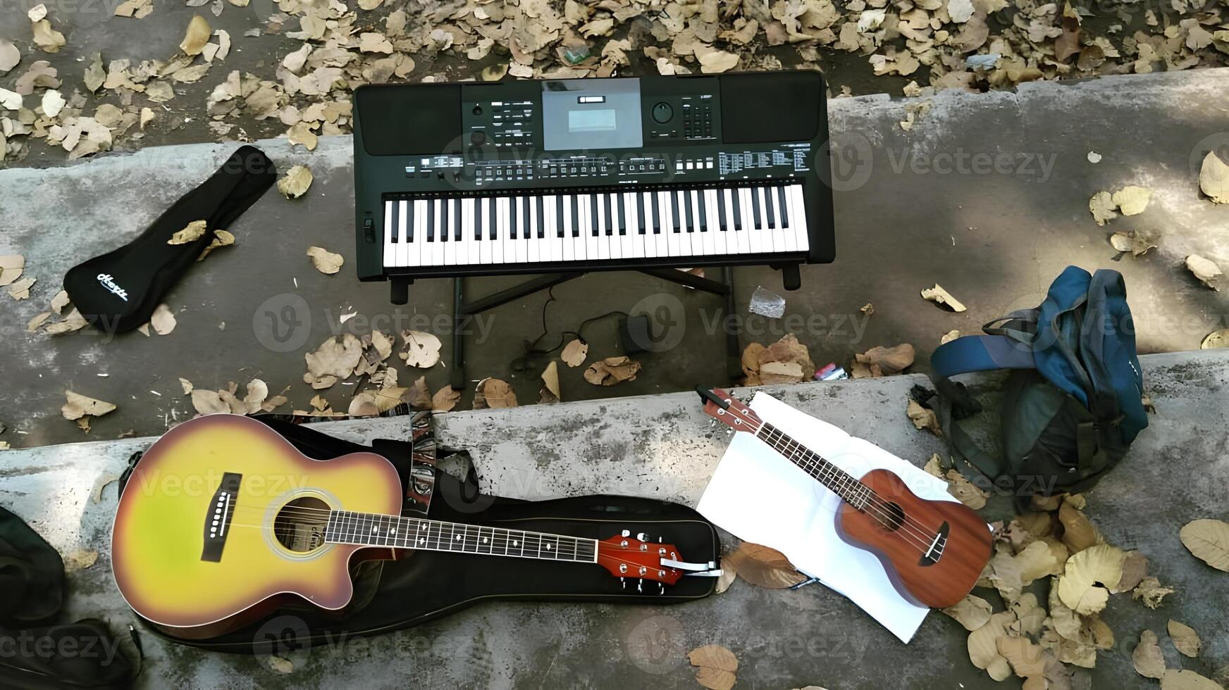 Musical Instruments Photography photo