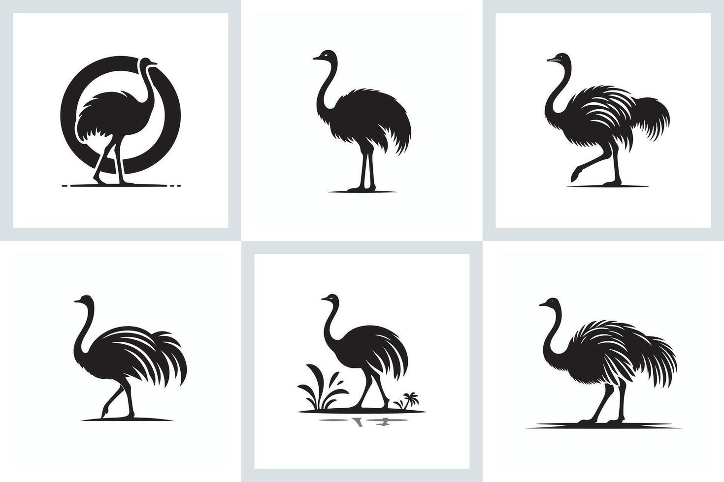 set of ostrich vector